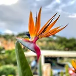 Casa de Férias Arte Povera In Idyllischem Naturreservat *