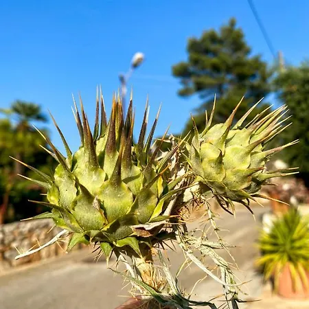 Casa vacanze Arte Povera In Idyllischem Naturreservat *